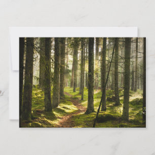 Forces Boreal Forest Sweden Bedankkaart
