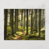 Forces | Boreal Forest Sweden Briefkaart (Voorkant)