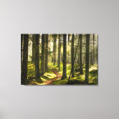 Forces | Boreal Forest Sweden Canvas Afdruk (Voorkant)
