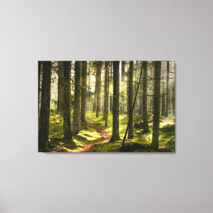 Forces   Boreal Forest Sweden Canvas Afdruk