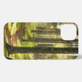 Forces | Boreal Forest Sweden iPhone Hoesje (Achterkant horizontaal)