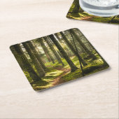Forces | Boreal Forest Sweden Kartonnen Onderzetters (Schuin)