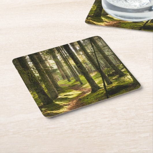 Forces | Boreal Forest Sweden Kartonnen Onderzetters (Schuin)
