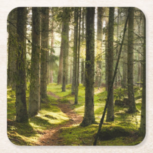 Forces Boreal Forest Sweden Kartonnen Onderzetters