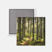 Forces | Boreal Forest Sweden Magneet (Voorkant / Achterkant)