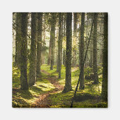 Forces | Boreal Forest Sweden Magneet (Voorkant)