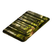 Forces | Boreal Forest Sweden Magneet (Linkerzijde)