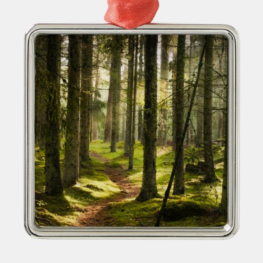 Forces | Boreal Forest Sweden Metalen Ornament (Voorkant)