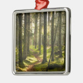 Forces | Boreal Forest Sweden Metalen Ornament (Links)