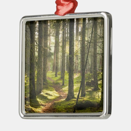 Forces | Boreal Forest Sweden Metalen Ornament (Links)