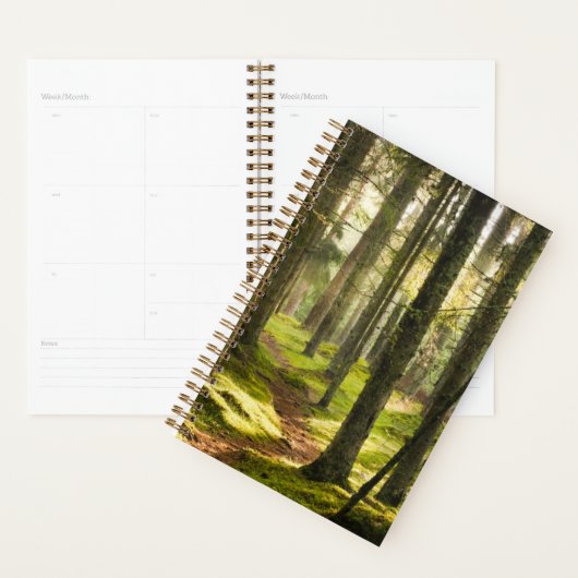 Forces | Boreal Forest Sweden Planner (Display)