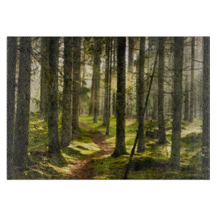 Forces Boreal Forest Sweden Snijplank