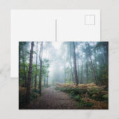Forces Dark Foggy Woods Norfolk UK Briefkaart (Voorkant / Achterkant)