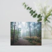 Forces Dark Foggy Woods Norfolk UK Briefkaart (Staand voorkant)