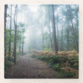 Forces Dark Foggy Woods Norfolk UK Glazen Onderzetter (Voorkant)