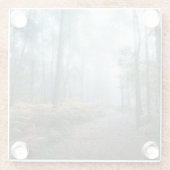 Forces Dark Foggy Woods Norfolk UK Glazen Onderzetter (Achterkant)