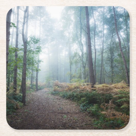 Forces Dark Foggy Woods Norfolk UK Kartonnen Onderzetters (Voorkant)