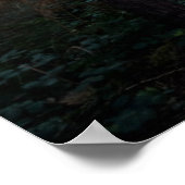 Forces Dark Foggy Woods Norfolk UK Poster (Hoek)