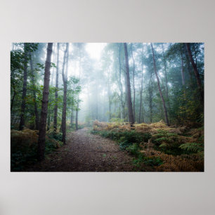 Forces Dark Foggy Woods Norfolk UK Poster