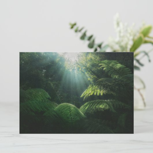 Forces | Ferns in Rainforest Bedankkaart (Staand voorkant)