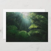 Forces | Ferns in Rainforest Bedankkaart (Voorkant / Achterkant)