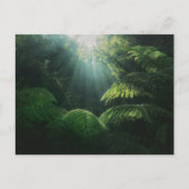 Forces | Ferns in Rainforest Briefkaart (Voorkant)