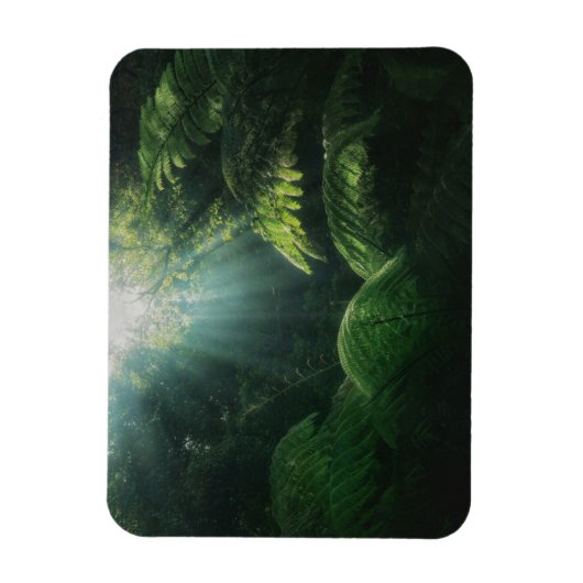 Forces | Ferns in Rainforest Magneet (Verticaal)