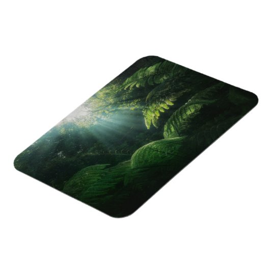 Forces | Ferns in Rainforest Magneet (Linkerzijde)