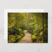 Forces | Footpath Into Forest Briefkaart (Voorkant / Achterkant)