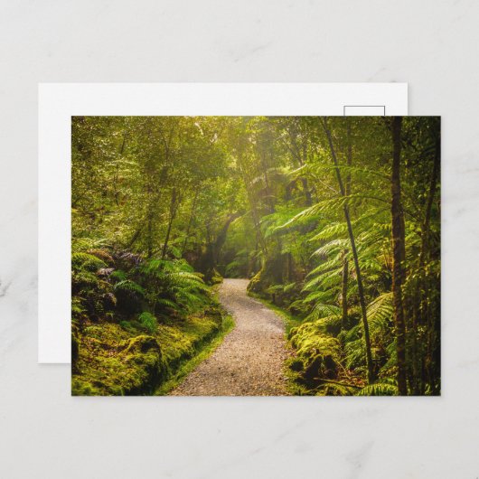 Forces | Footpath Into Forest Briefkaart (Voorkant / Achterkant)