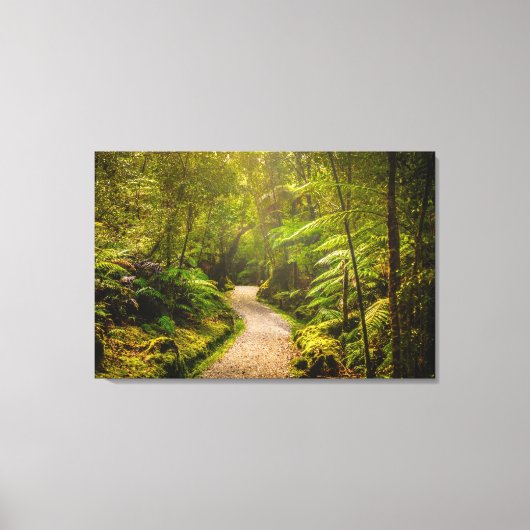 Forces | Footpath Into Forest Canvas Afdruk (Voorkant)