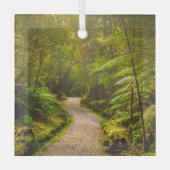 Forces | Footpath Into Forest Glas Ornament (Voorkant)