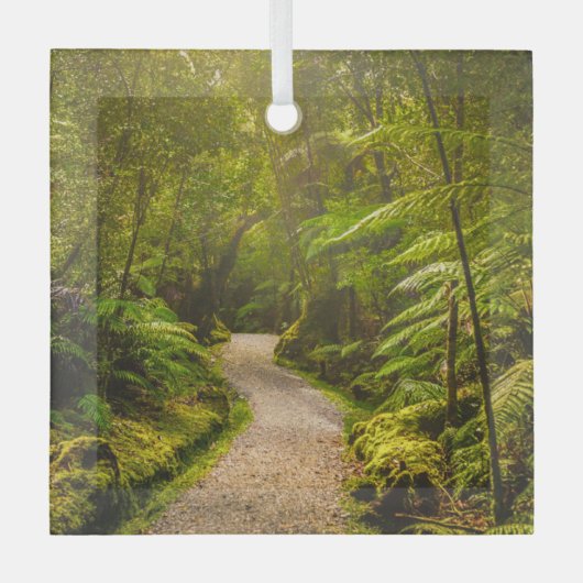 Forces | Footpath Into Forest Glas Ornament (Voorkant)