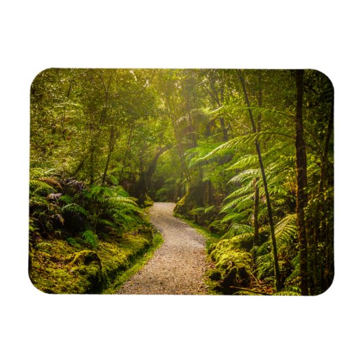 Forces | Footpath Into Forest Magneet (Horizontaal)