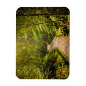 Forces | Footpath Into Forest Magneet (Verticaal)
