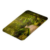 Forces | Footpath Into Forest Magneet (Linkerzijde)