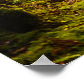 Forces | Footpath Into Forest Poster (Hoek)