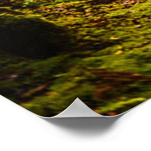 Forces | Footpath Into Forest Poster (Hoek)