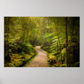 Forces | Footpath Into Forest Poster (Voorkant)