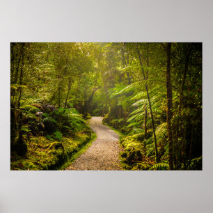 Forces   Footpath Into Forest Poster