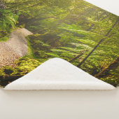 Forces | Footpath Into Forest Sherpa Deken (3/4)