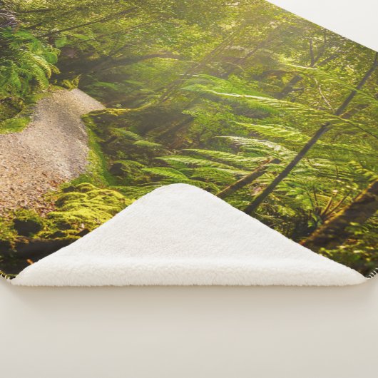 Forces | Footpath Into Forest Sherpa Deken (3/4)