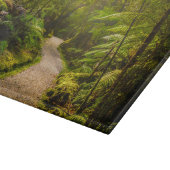 Forces | Footpath Into Forest Snijplank (Hoek)