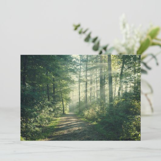 Forces | Forest Path Hamburg Germany Bedankkaart (Staand voorkant)