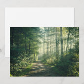 Forces | Forest Path Hamburg Germany Bedankkaart (Voorkant / Achterkant)