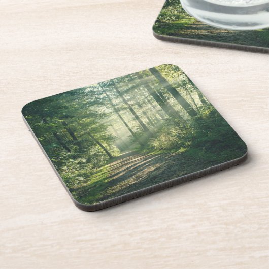 Forces | Forest Path Hamburg Germany Bier Onderzetter (Linkerzijde)