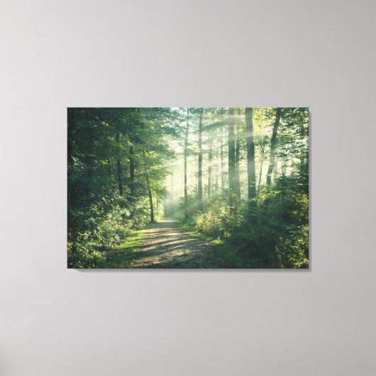 Forces | Forest Path Hamburg Germany Canvas Afdruk (Voorkant)