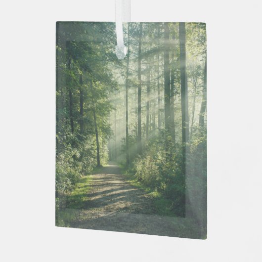 Forces | Forest Path Hamburg Germany Glas Ornament (Voorkant links)