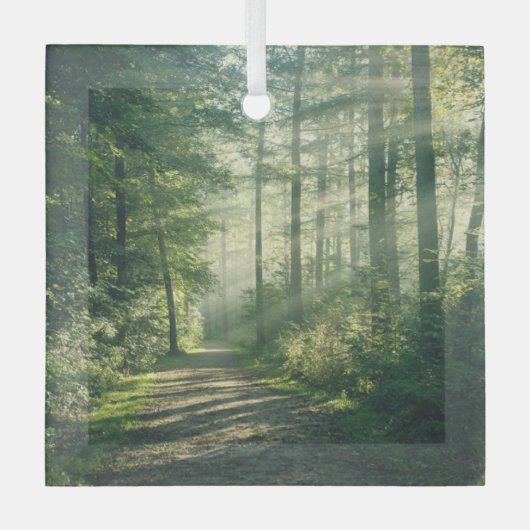 Forces | Forest Path Hamburg Germany Glas Ornament (Voorkant)