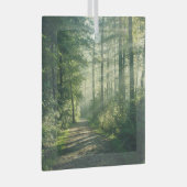 Forces | Forest Path Hamburg Germany Glas Ornament (Voorkant Rechts)